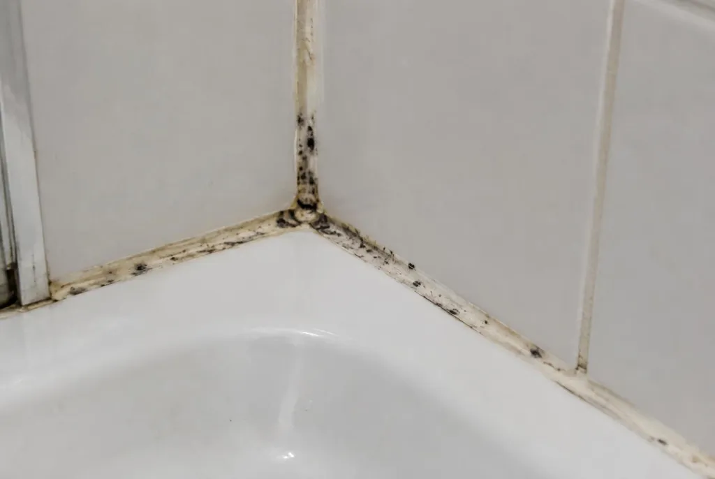 Kitbedrijf Amstelveen – beschimmelde kitranden